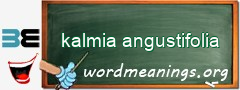 WordMeaning blackboard for kalmia angustifolia